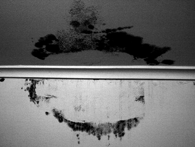 [svarte_greiner_ma_fama.jpg]