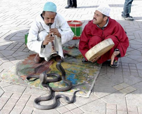[Indian-snake-festival-(24).jpg]