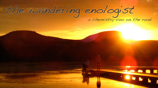The Wandering Enologist