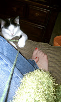kitty attack knitting