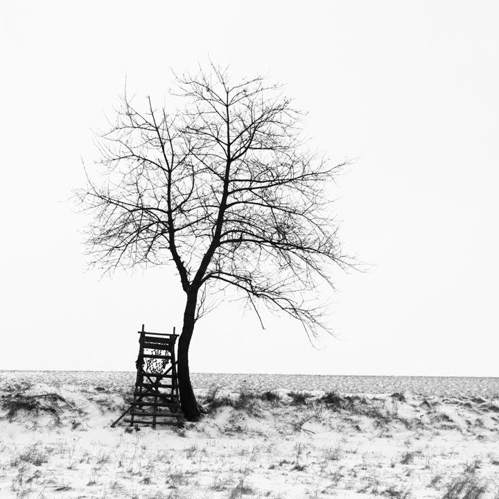 [Laura+Evans+-+Untitled.jpg]