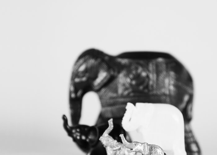 [Anrea+Despot+-+The+Menagerie.jpg]