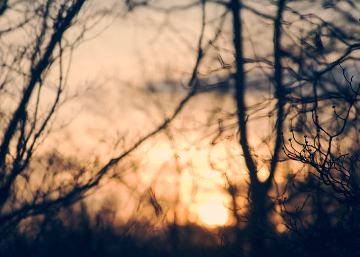 [Andrea+Despot+-+The+Sun+Has+Set.jpg]