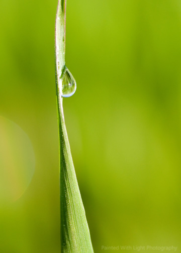 [Elizabeth+Schwarz+-+Falling+Water+Drop.jpg]
