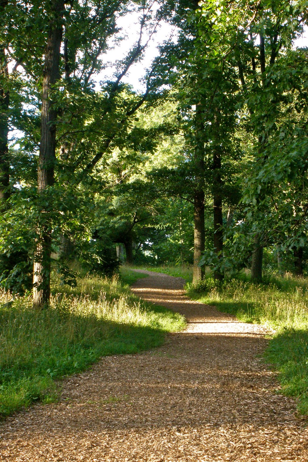 [Liz+Hughes+-+Stay+on+the+Path.jpg]