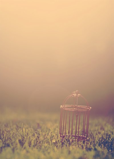 [Andrea+Despot+-+Last+Light.jpg]