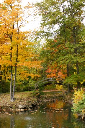 [Susan+Knights+-+...Gardens+Bridge....jpg]