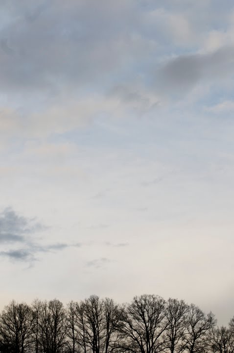 [Laura+Evans+-+Above+the+Tree+Line.jpg]