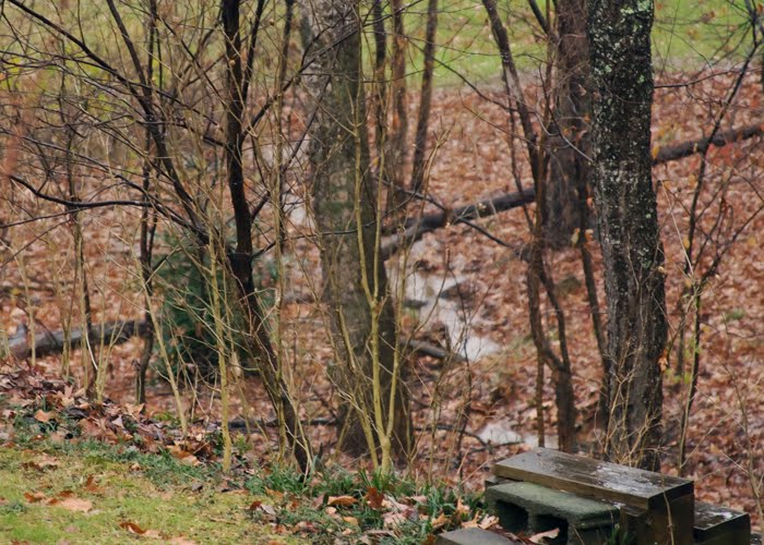 [Andrea+Despot+-+A+Wet+Day.jpg]