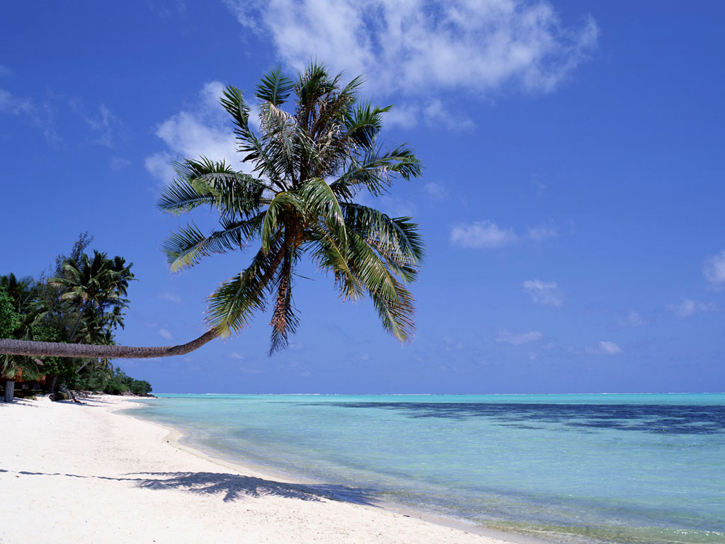 http://4.bp.blogspot.com/_d-t6JB4lKL4/TEEY6ZfbFZI/AAAAAAAAABw/Cfj_3r6TwTg/s1600/ocean-wallpaper-3.jpg