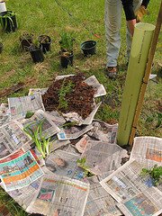 [add+understory.jpg]