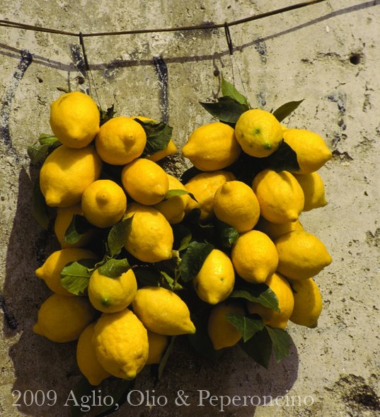 [limoni.jpg]