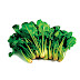 A Cup of Spinach a Day