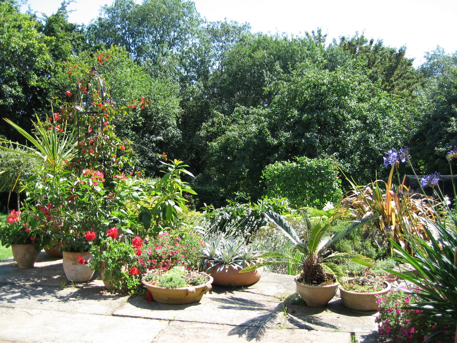 [Summer+2007+171.jpg]