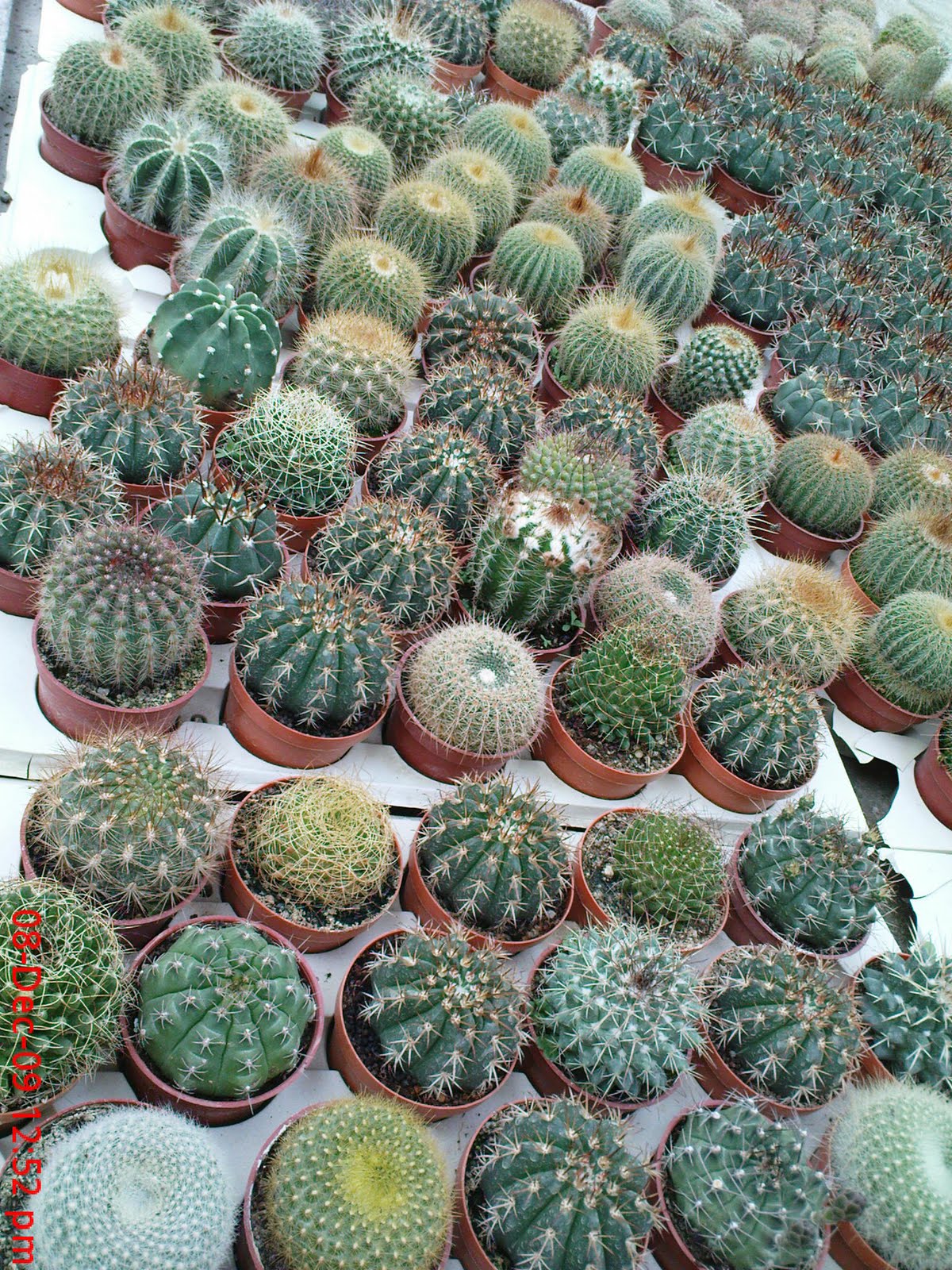 [DSC00830.JPG]