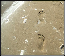 Footprints in the sand