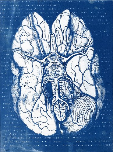 [brain.jpg]