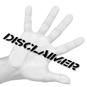 search engine optimization tips and ticks blogging disclaimer policy