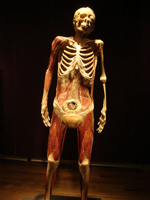 Zombie Pregnancy