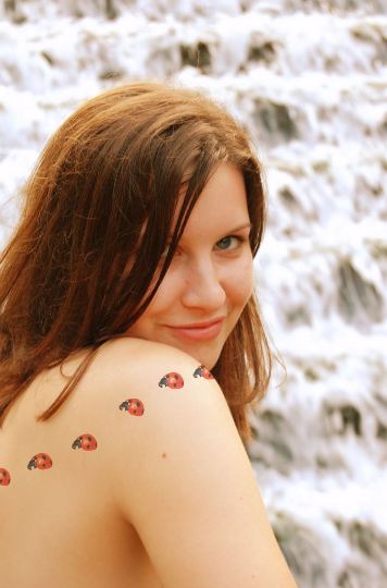 ladybug tattoo. ladybug centerpieces craft