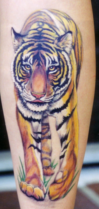 white tiger tattoo. butterfly tiger tattoo.