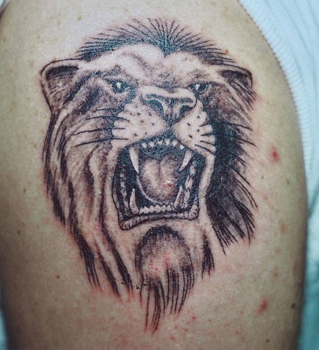 cat eyes tattoo_18. Lion Tattoos