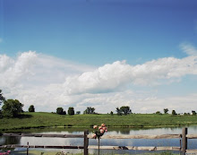 Perfect summer day photo