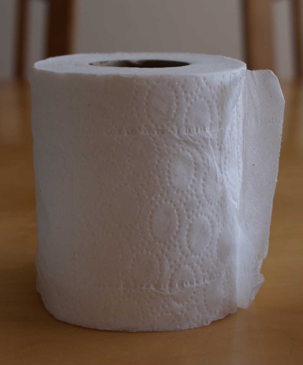 [2-papier+toilette.JPG]