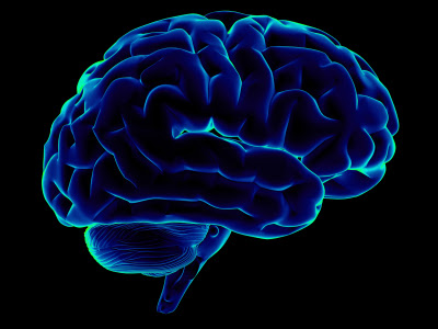 brain+-+xray.jpg