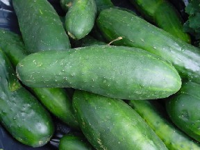 [cucumber.jpg]