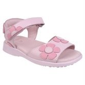 [pediped.bmp]