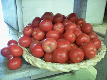 Tomatoes at Cafe Bloom