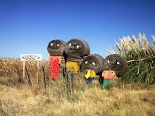 Hay Bale Family Fouriesburg
