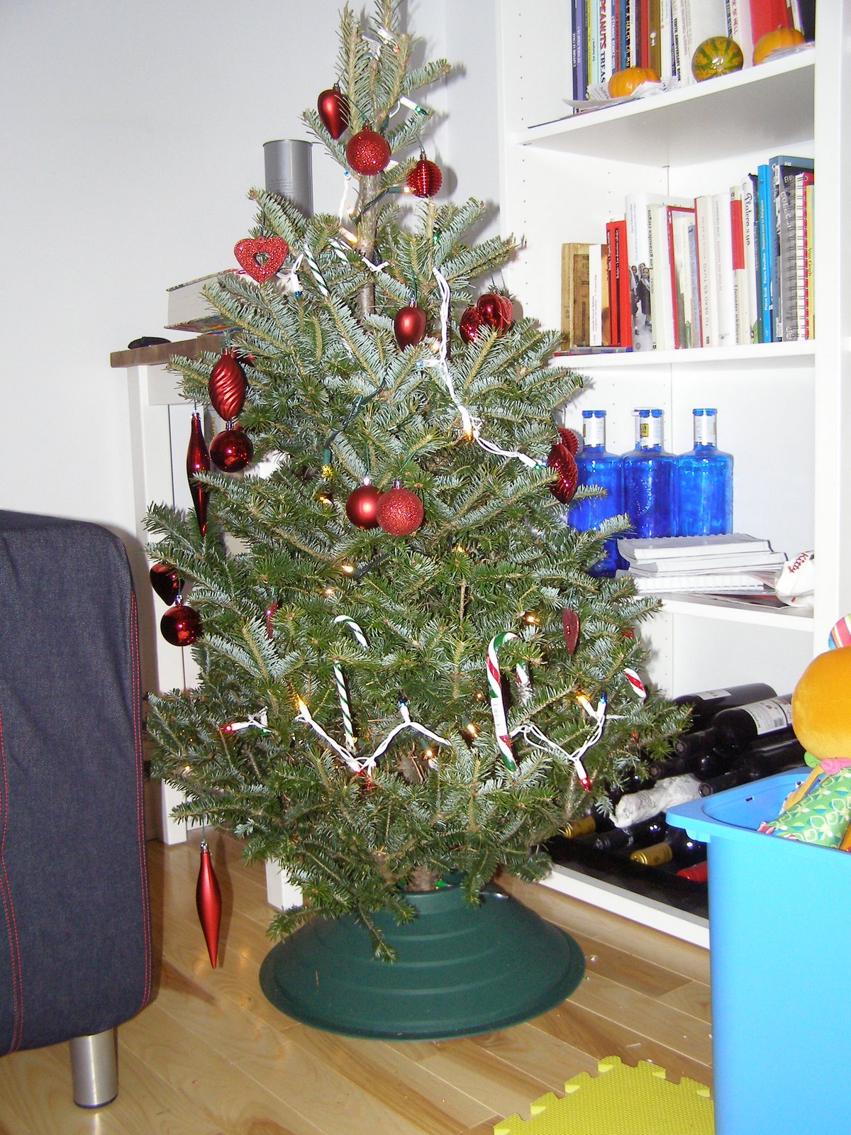 [November2009_0067.JPG]