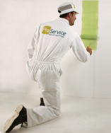 Asesoría Profesional