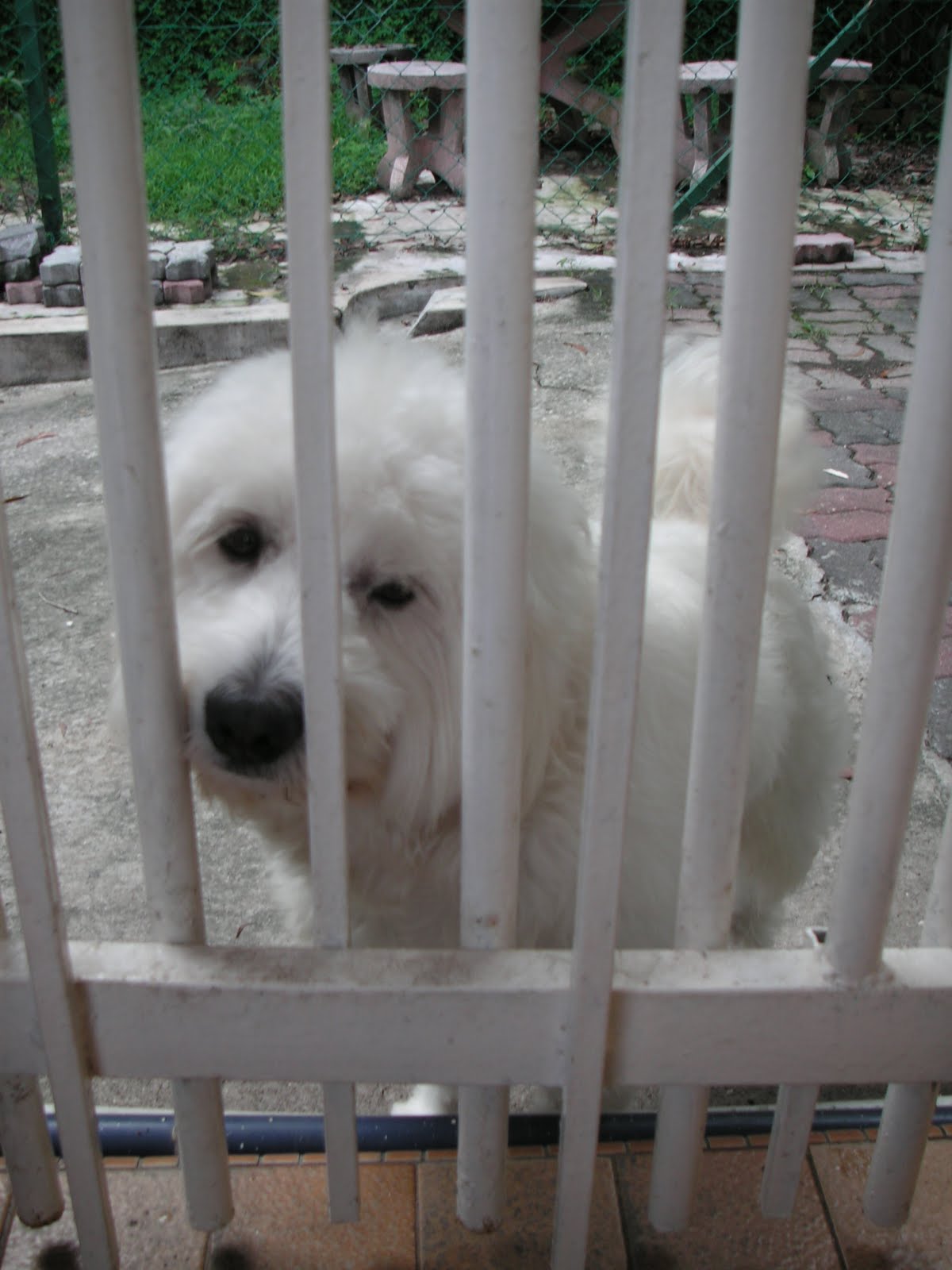 [PICT0737.JPG]