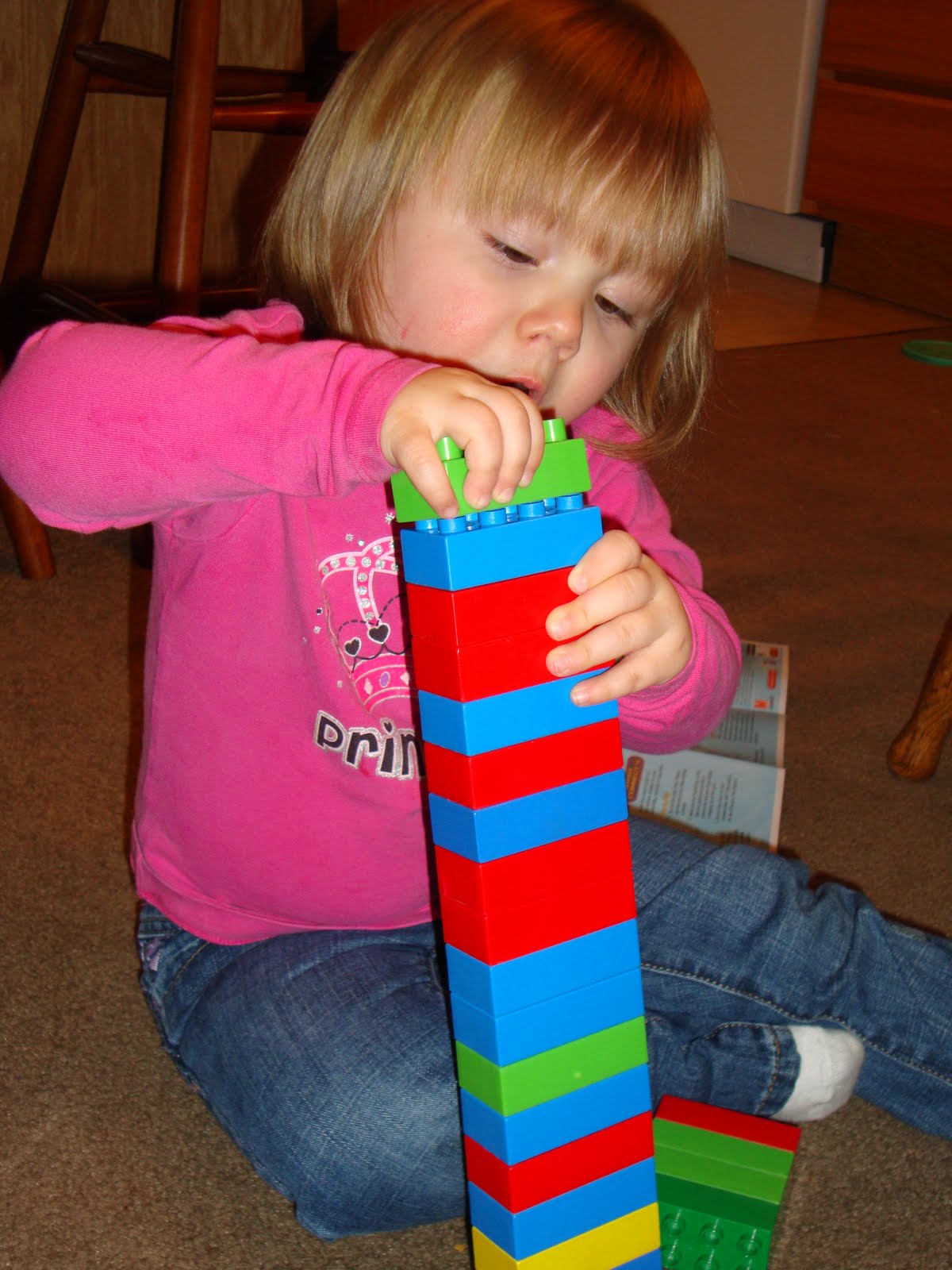 [DSC00367.JPG]