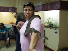 Brenda holding 6ft, olive python