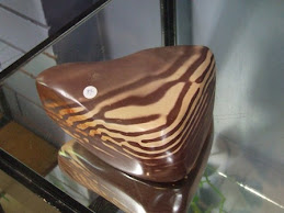 zebra rock