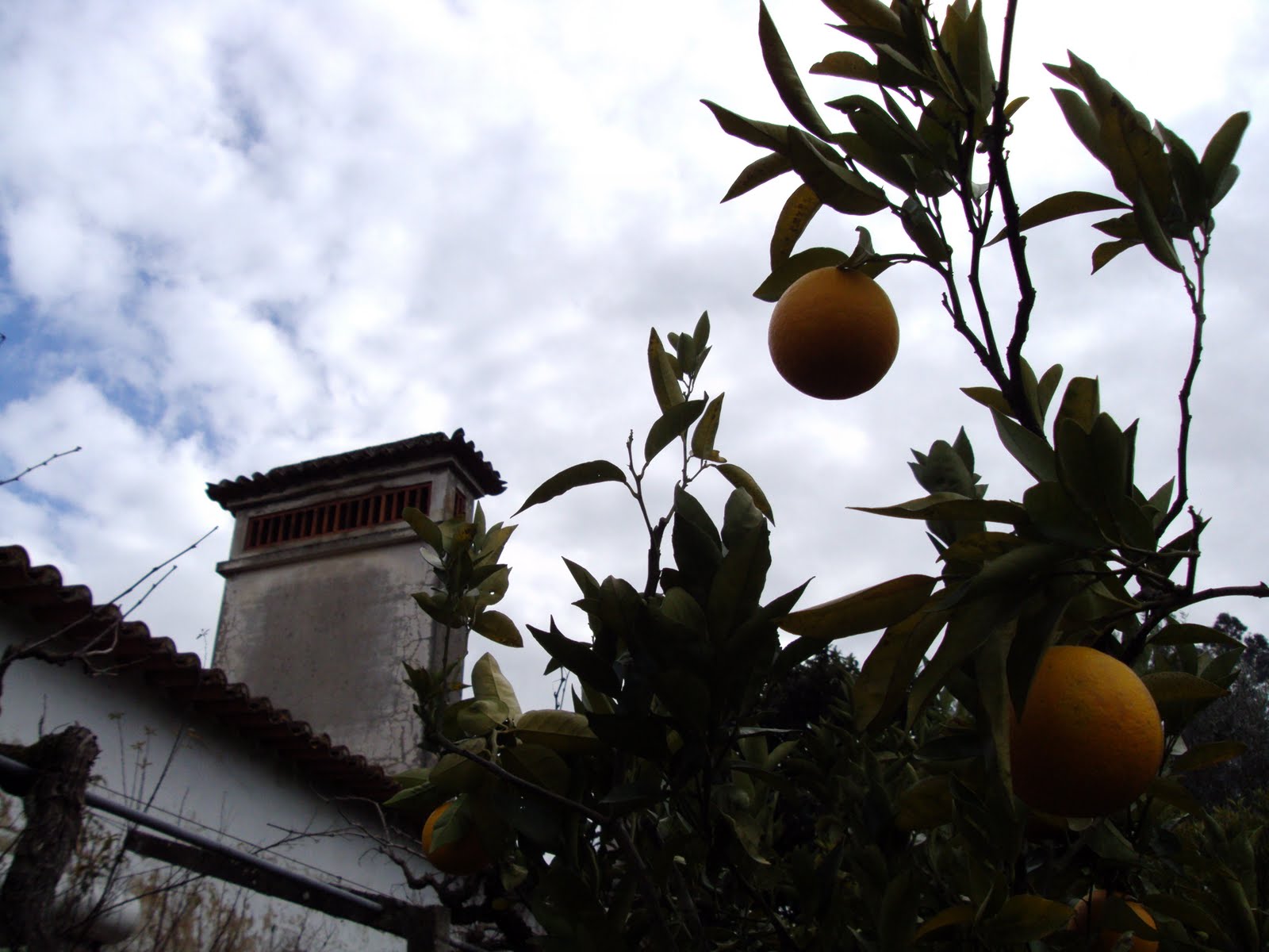 [DSC04797.JPG]