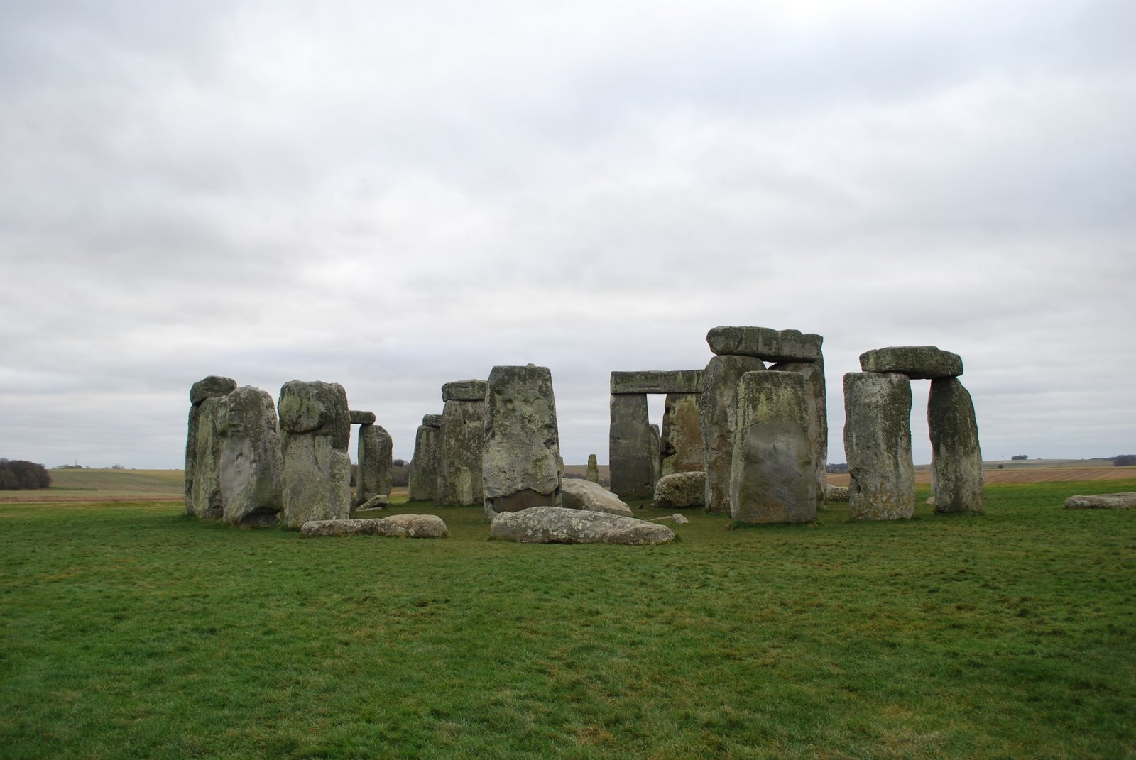 [DSC_0695.JPG]