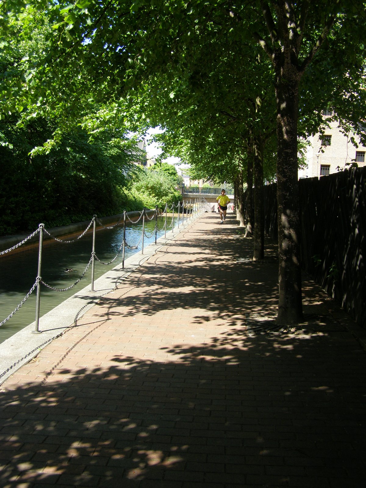 [P5300903.JPG]