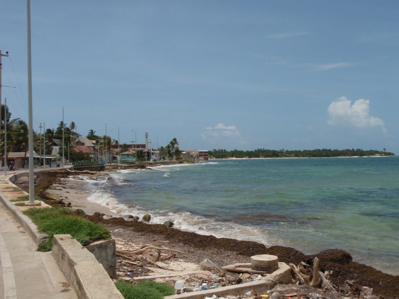[P8240171.JPG]