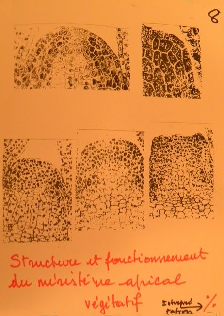Comment se construit dissertation