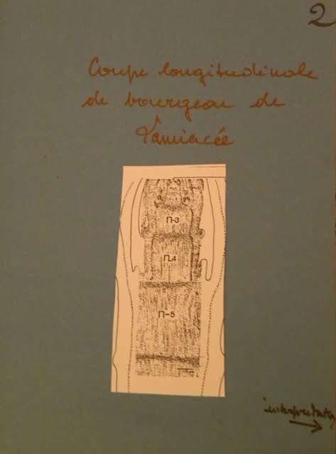 Comment se construit une dissertation