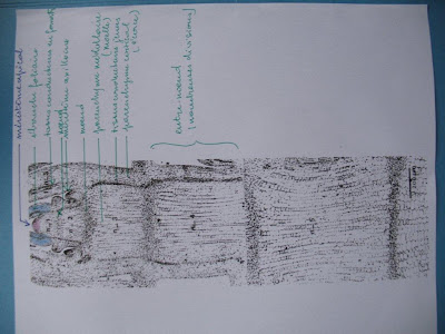 Comment se construit dissertation
