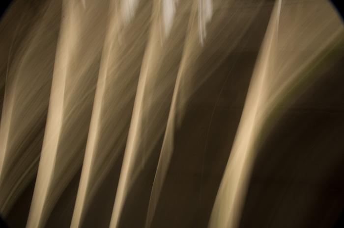 [strings.jpg]
