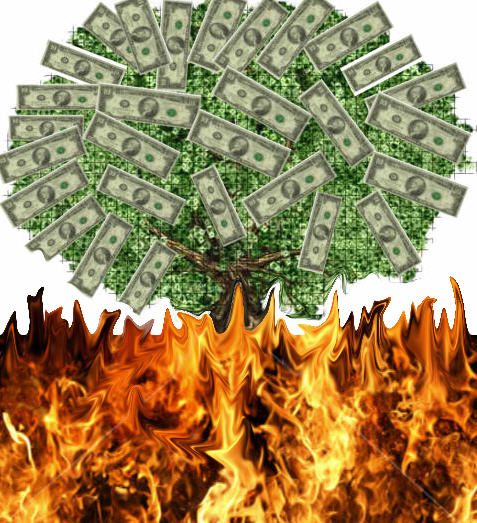 [Tree_money_fire1.jpg]