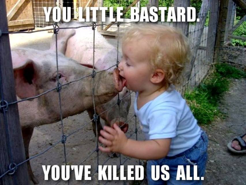 [swine-flu.bmp]
