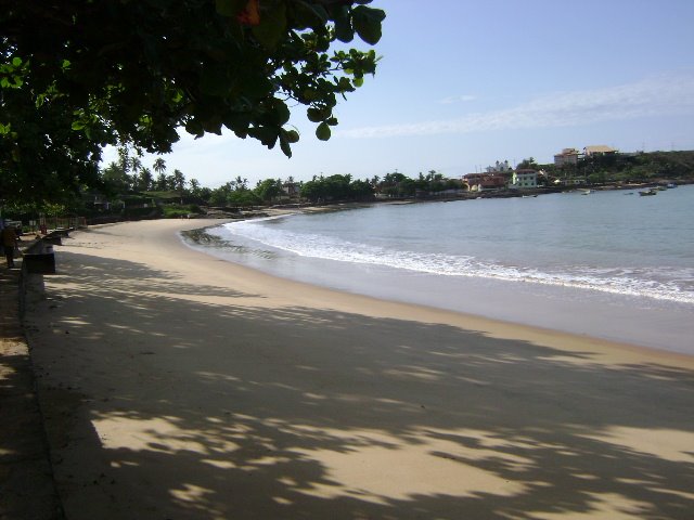 [DSC01495.JPG]